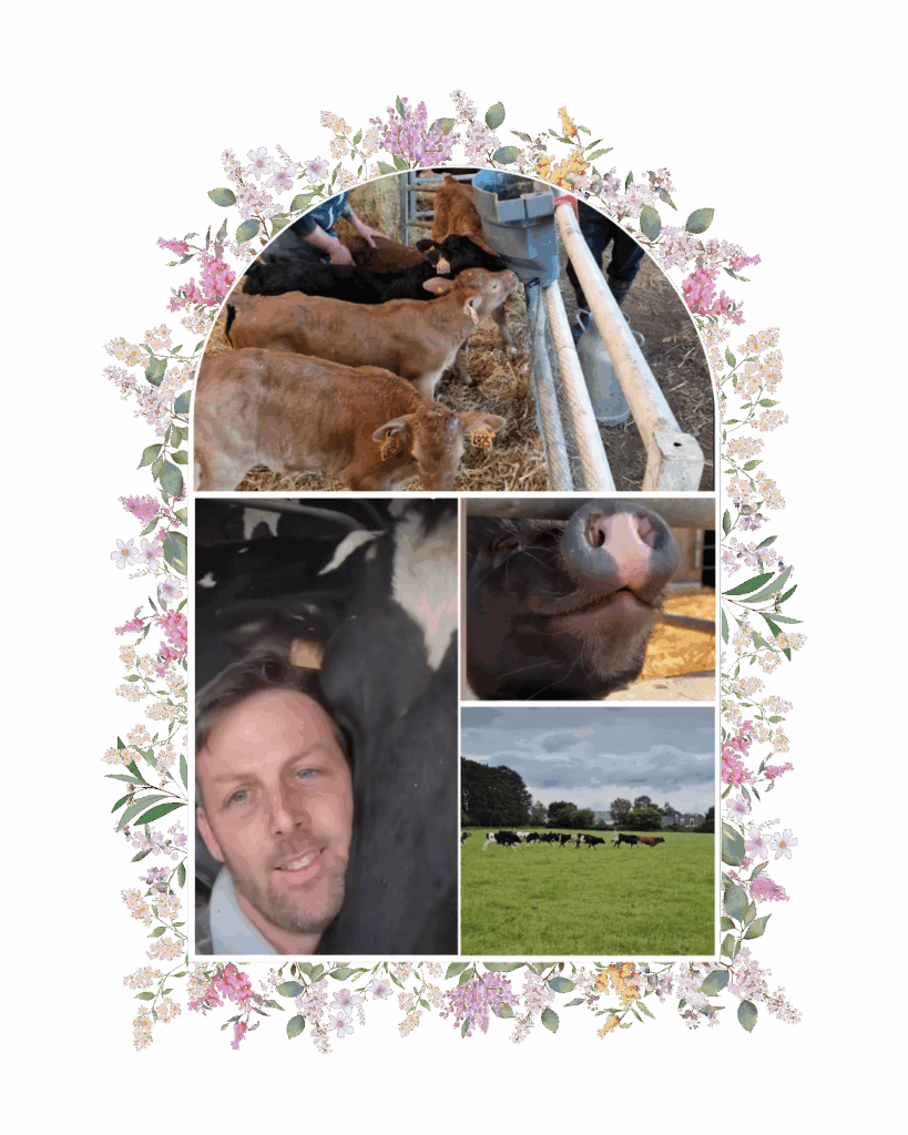 ferme Lait prés verts montage photo