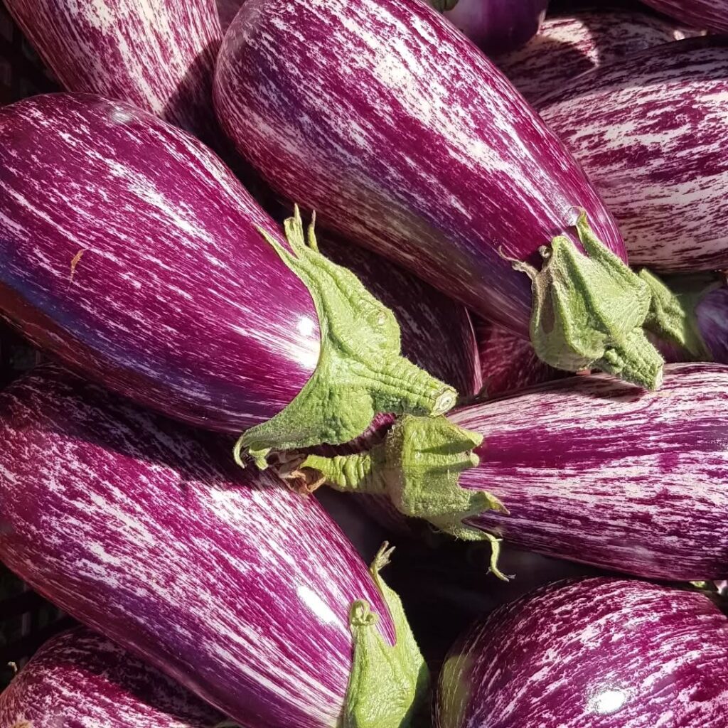 Photo d'aubergines